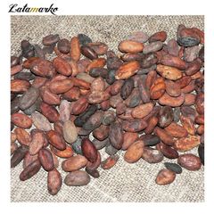 Cocoa Bean High Quality Raw Cocoa Bean Ghana Organic Cacao Bean price - Image 6