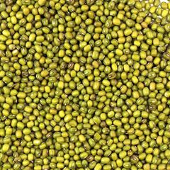 Fresh green Mung Beans natural and healthy top Mung Beans available in large quantity with fast shipping - Image 2