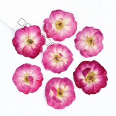 Resin Frame Bookmark Candle Materials DIY Craft Pressed Flower Bubble Rose - Image 1