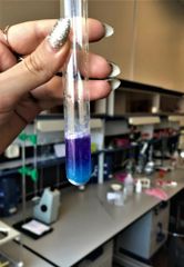 Chemical Testing Services Application Context Wet Chemical Labs, Organic Labs Safety Features Withdrawal Systems, Spill - Image 2