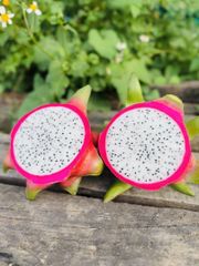 Dragon fruit – product photo 3, product detail gallery