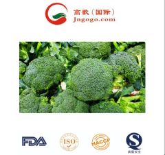 Premium Frozen Broccoli - Super Quality Green Vegetable HS Code 0710809090 Production Capacity 2000 Mts Transport Package - Image 2