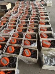 Reliable Hsz-C Hand Chain Hoist for Factory Lifting Solutions - Image 4
