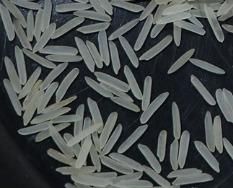 Premium 1509 Basmati: Raw, Steam, Golden & White Sella | 95% Purity | Broken Under 1% | Bulk Export Packaging from India - Image 5