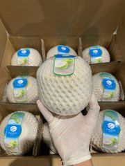 Diamond Cut Coconut (Fresh Young Coconut) – product photo 5, product detail gallery
