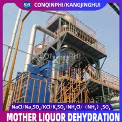 Mother Liquor Dehydration Efficient Sludge Dehydrator Machine - Image 4