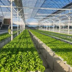 China Hydroponics Nft Pipe Accessories Hydroponic Fertilizer Automated Nft Systems - Image 3