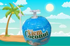 Easy open coconut + plastic straw - Image 1