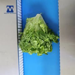 Multi-Function Automatic Pillow Flow Packaging Flowpack Wrapping Tray Fresh Lettuce Cabbage Frozen Fruit and Vegetable Packing Machine - Image 6