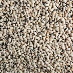 White Kidney Beans Prepared For International Distribution Offering Clean And Sorted Kidney Beans Supply - Image 2