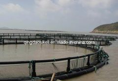 Tuna Net Cage for Mediterranean Fish Farming Frame HDPE Color Black Trademark QH Material HDPE Condition New Warranty 1 - Image 4