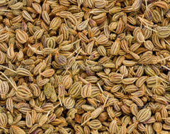 Ajwain - Image 3