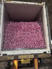 Garlic Size 5-5.5cm Color Pure White Weight Per Bag 2.5kg Minimum Order Quantity 29 - Image 1