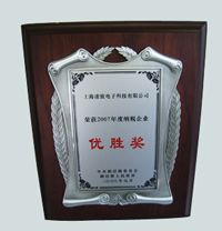 Certificate of Model Enterprise certificate from Shanghai Lingtech Technology Co., Ltd.
