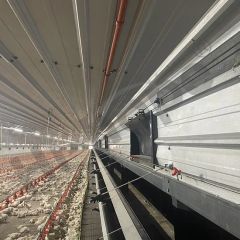 China Made Customizable Broiler Flat Rearing Equipment Offers Reliable Quality Competitive Price and Smart Farming Features for Large-Scale Poultry Farm Plant - Image 1