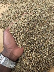 Robusta Green Coffee Beans – product photo 2, product detail gallery