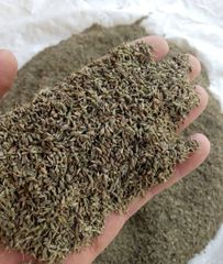 Anise seeds - Image 1