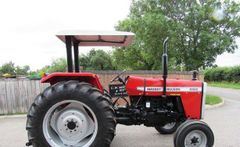 Massey Ferguson 290/Massey Ferguson 290 Tractor / Used Agricultural Tractors Massey Ferguson – product photo 4, product detail gallery