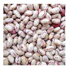 Cheap Price Bulk Stock Light Speckled Sugar Beans | Pinto Beans for Sale in Bulk With Fast Delivery – product photo 5, product detail gallery