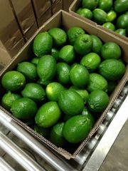 Fresh Lemons - Grade A, Organic Non-Peeled Yellow Citrus | Fresh, Premium Quality for Culinary Excellence - Image 3