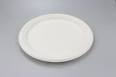 Disposable Bagasse Plate Biodegradable Compostable Sugarcane Tableware Plate - Image 2