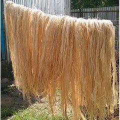 Banana Fiber - Image 1