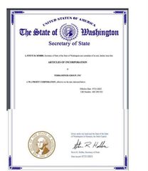 ARTICLES OF INCORPORATION certificate from TERRAMINER GROUP,INC