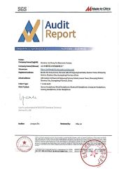 03 certificate from Shantou Jia Sheng Tai Electronic Factory