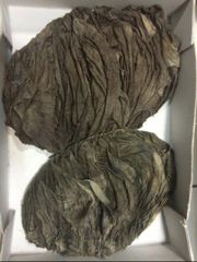 OMASUM SALTED - Image 2