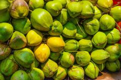Green Coconut – product photo 1, product detail gallery
