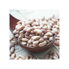 Dried sugar beans available for bulk export to food industry - Image 5