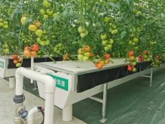 XPS Floating Rafts Foam Board Hydroponic Aquaponic Growing System - Image 3