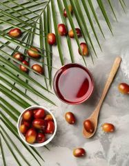 Wholesale Red Palm Oil Supply - Image 3