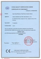 CE certificate from Anhui Wannan Electric Machine Co., Ltd.