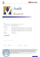 Audit report certificate of Wenzhou Zhenshang Machinery Co., Ltd. – certificate photo, supplier certificates section