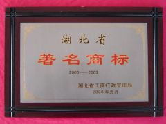 Certificate certificate from HUBEI TRI-RING MOTOR CO., LTD.