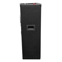 Wireless Microphone Speaker 10 Inch Bluetooth Party Speaker - Image 5