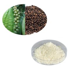Factory Supply High Quality Piper Nigrum Extract Black Pepper Ground Powder Extract 10%-98% Piperine - Image 4