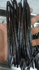 Vanilla Beans Planifolia – product photo 2, product detail gallery