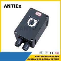 Custom Explosion-Proof Power Distribution Equipment Control Cabinet Frequency Converter Cabinet Instrument Box Lighting Box - Image 6