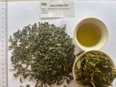Vietnam Green Tea OP, OPA, Pekoe, BOM, Madina in Bulk - Goo Farm - Image 4