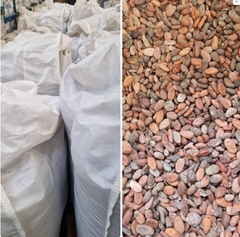 Cocoa beans – product photo 1, product detail gallery