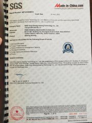 SGS certificate from Hefei King Slewing Bearing Technology Co., Ltd.