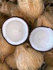 Semi-husked coconut – product photo 4, product detail gallery