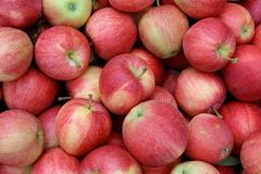 Fresh Apples