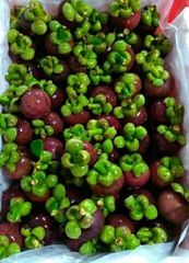 Fresh Mangosteen – product photo 2, product detail gallery
