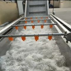 304 Stainless Steel Bubble Vegetable Fruit Washer Automatic Cleaning Machine for Food Processing Industry - Image 5