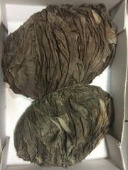 OMASUM SALTED BEEF OFFALS - Image 3