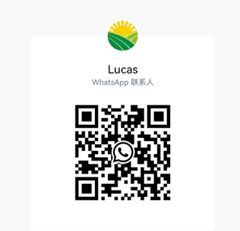 King milk flavour high concentrate fruit milk essence for making milk beverage candy - Image 3