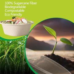 Free Sample Sugarcane Bagasse Custom Disposable Lunch Container Packing Box Paper Takeout Containers - Image 5